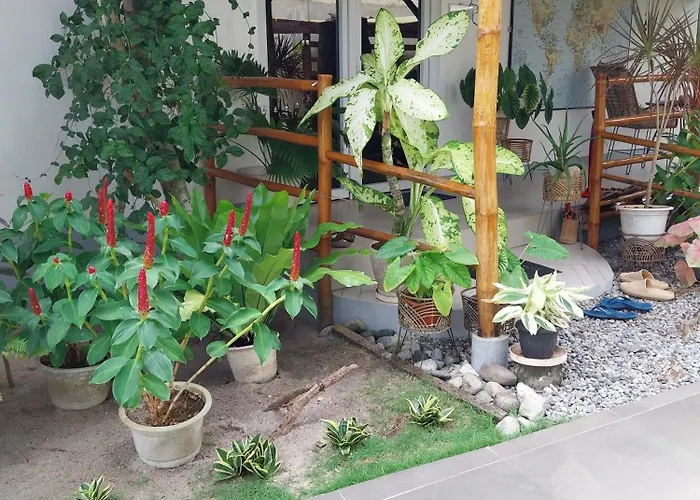 Skott's Comfy